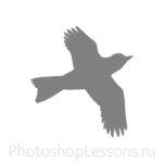 Кисти в виде силуэтов птиц для Фотошопа - кисть 62