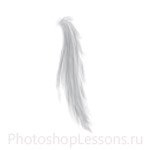 Кисти в виде волос для Фотошопа - кисть 9