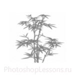 Кисти: силуэты деревьев для Фотошопа - кисть 2