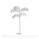 Кисти: силуэты деревьев для Фотошопа - кисть 20