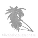 Кисти: силуэты деревьев для Фотошопа - кисть 22