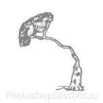 Кисти: силуэты деревьев для Фотошопа - кисть 24