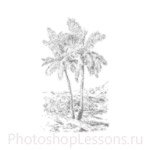 Кисти: силуэты деревьев для Фотошопа - кисть 31