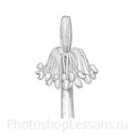 Кисти: силуэты деревьев для Фотошопа - кисть 39