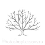 Кисти: силуэты деревьев для Фотошопа - кисть 42