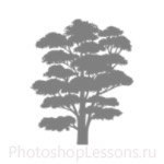Кисти: силуэты деревьев для Фотошопа - кисть 5