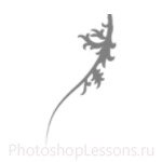 Кисти: цветочные орнаменты для Фотошопа - кисть 1