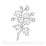 Кисти: цветочные орнаменты для Фотошопа - кисть 25