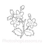 Кисти: цветочные орнаменты для Фотошопа - кисть 27