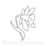 Кисти: цветочные орнаменты для Фотошопа - кисть 28