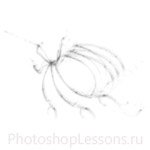 Кисти: абстрактные для Фотошопа - кисть 12