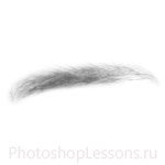 Кисти: брови для Фотошопа - кисть 22