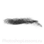 Кисти: брови для Фотошопа - кисть 34