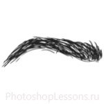 Кисти: брови для Фотошопа - кисть 74